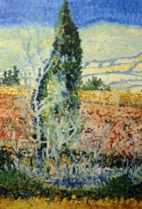 Cypress