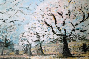 Flowering orchard, Provence
