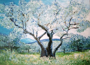 Olive tree Sicily