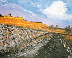 vineyard in Bordeaux